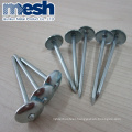 35mm stainless steel roofing nails